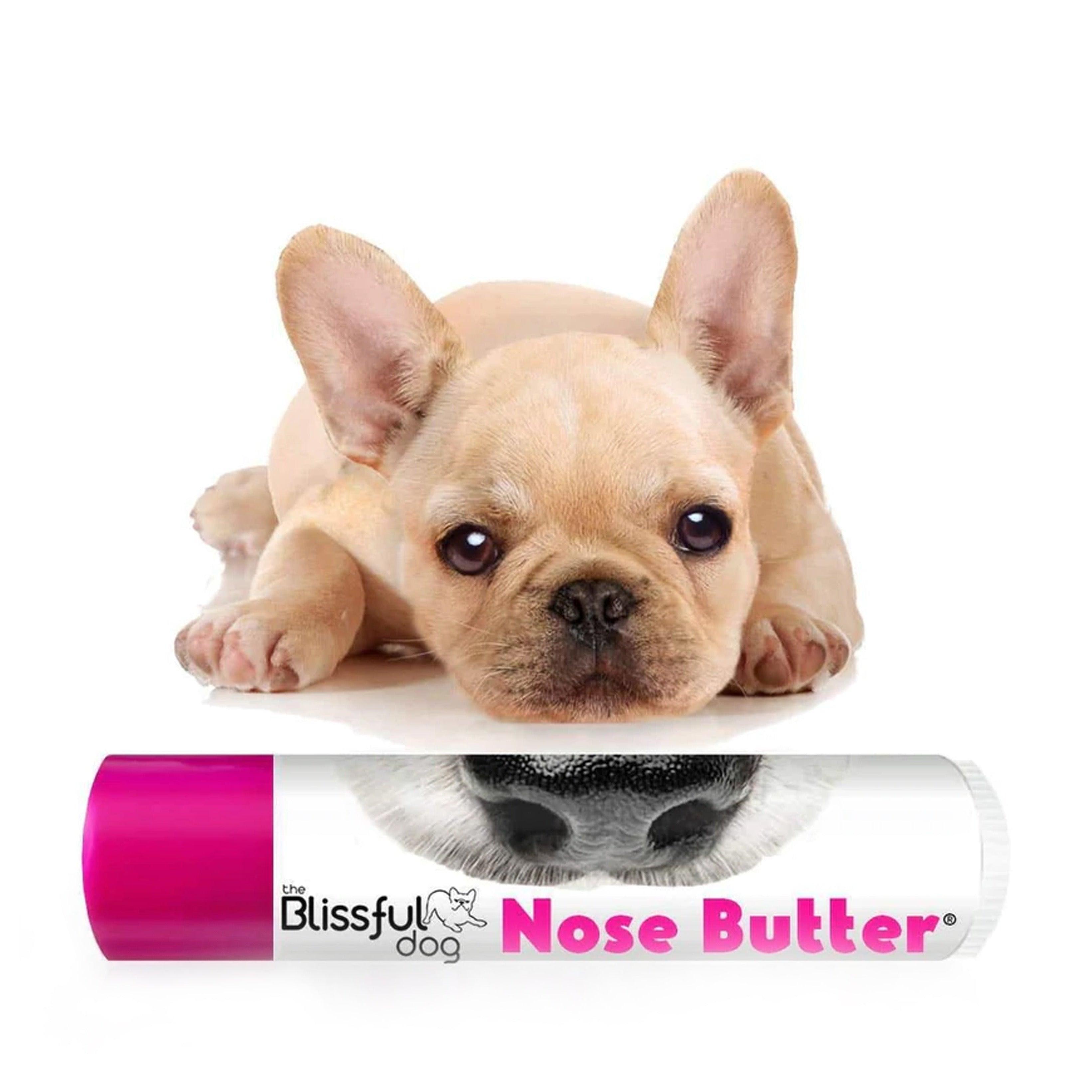 French bulldog outlet nose butter