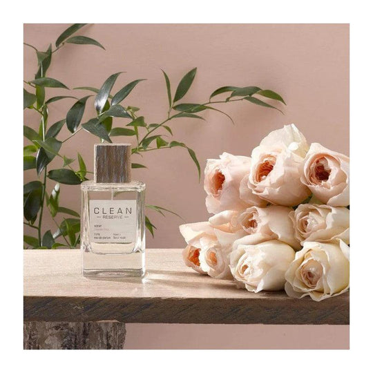 Clean blonde rose online perfume