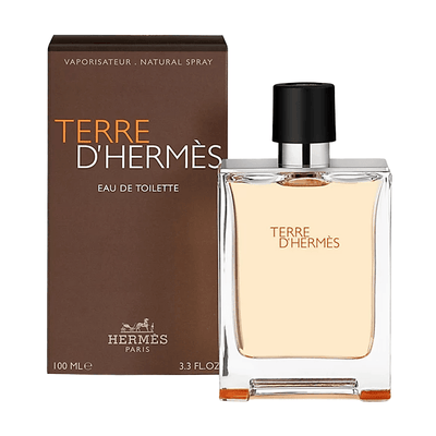 Hermes Terre D’Hermes Eau de Toilette (Untuk Pria) 100ml